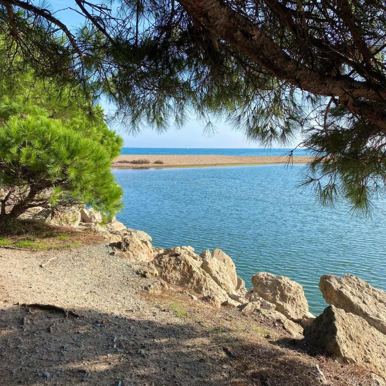 Port-Fréjus, LE CONSUL, appartement 2 pièces climatisé, terrasse & parking - Appartamento con 1 Camera da Letto - 86