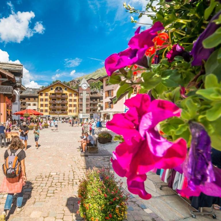ALPS les ARCS 1950 Prince des Cimes, ski-in out,swimming pool, sauna, shoes dryer - Appartement 1 Chambre - 28