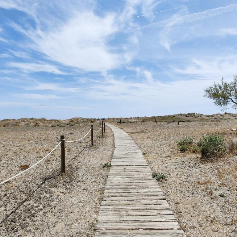 Global Vacacional, Apartamento con terraza y piscina a un paso de la playa - Apartment - 51