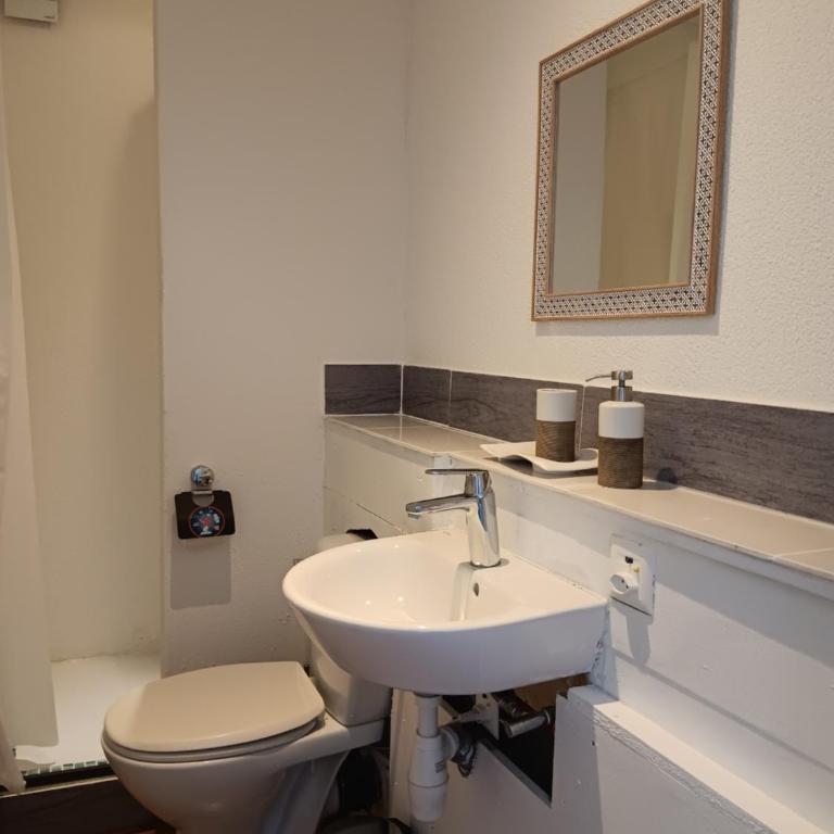 La plus belle vue du lac Léman - Budget Doppelzimmer - 8