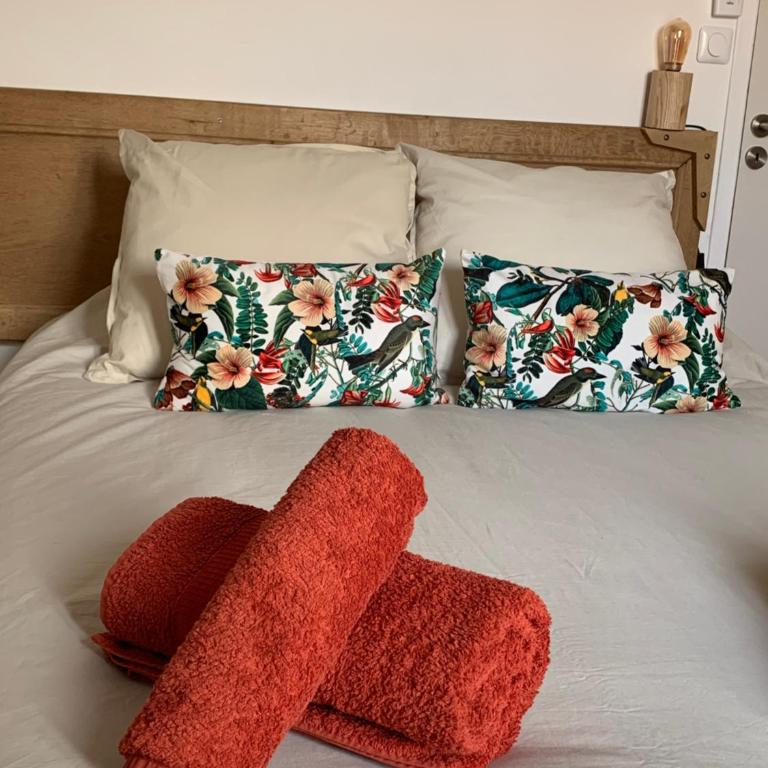 Cocon lumineux & authentique - Palais des Papes - Apartment mit 1 Schlafzimmer - 23