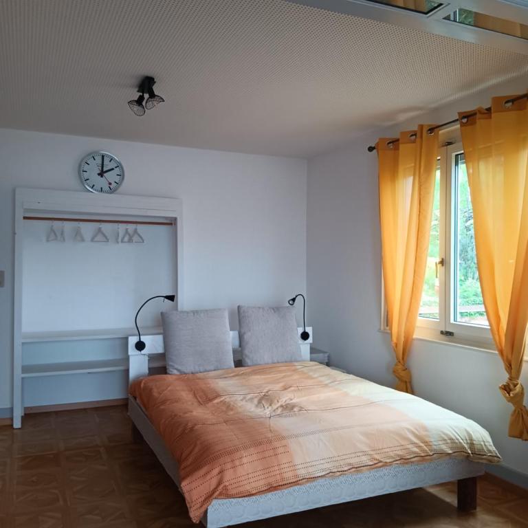 La plus belle vue du lac Léman - Doppelzimmer mit Seeblick - 12