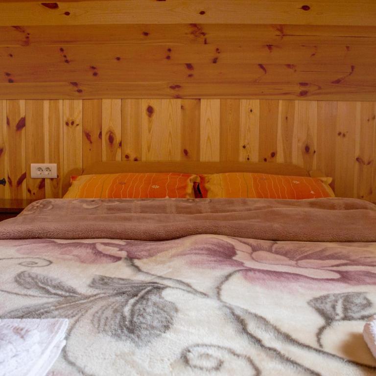 Villa Das Zabljak - Standard Double Room with Shared Bathroom - 5