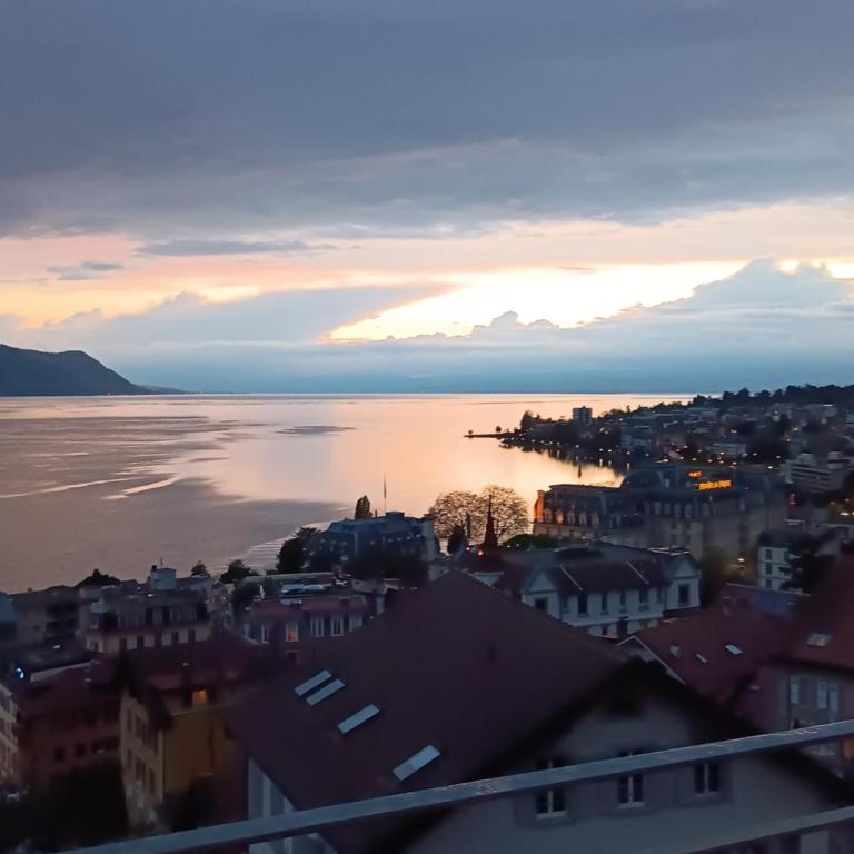 La plus belle vue du lac Léman - Doppelzimmer mit Seeblick - 16