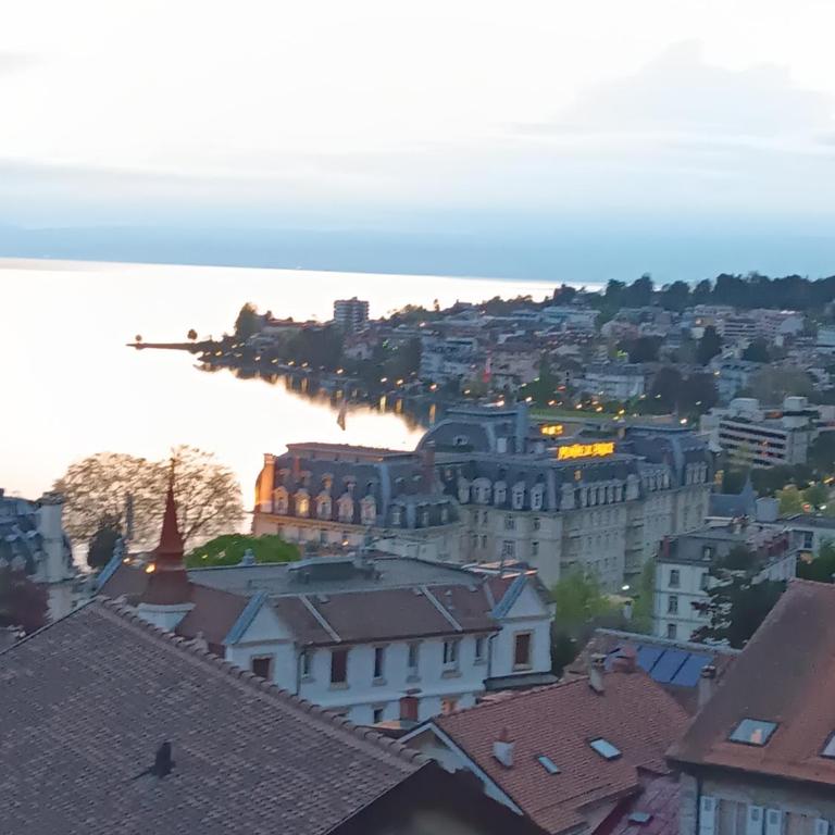 La plus belle vue du lac Léman - Doppelzimmer mit Seeblick - 17