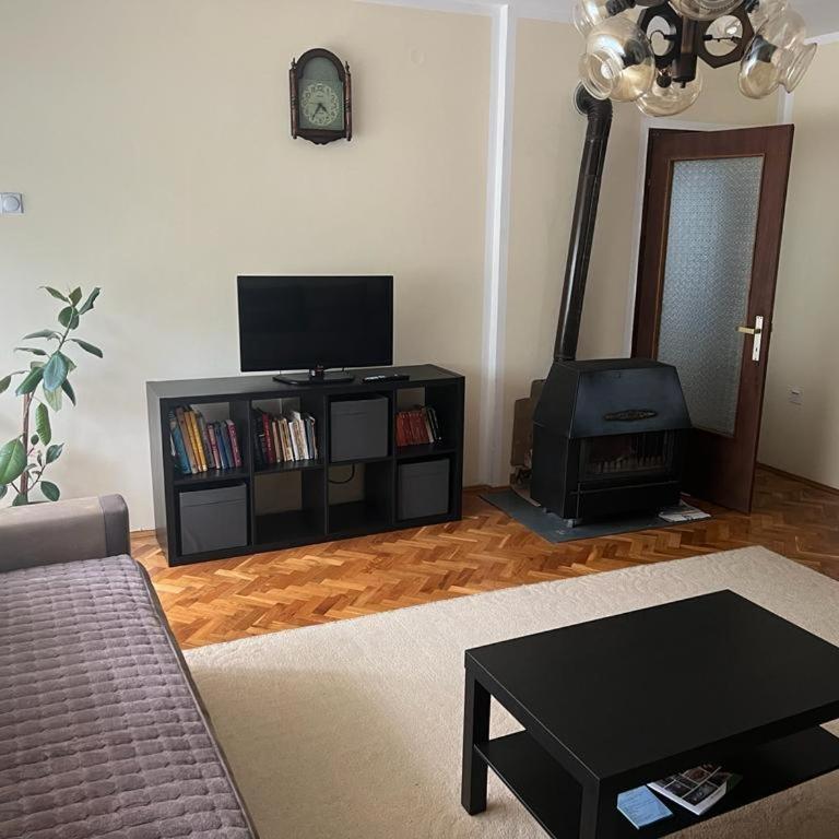 Sokobanja apartman Aviva - Apartman sa 1 Spavaćom Sobom - 9