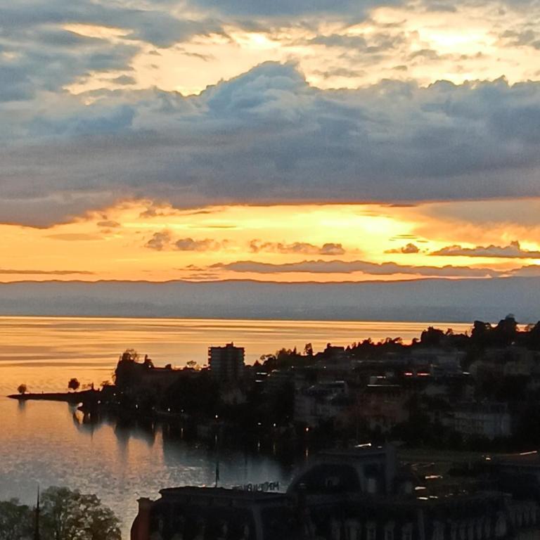 Loft la plus belle vue du lac Léman Montreux - Deluxe Apartment - 32