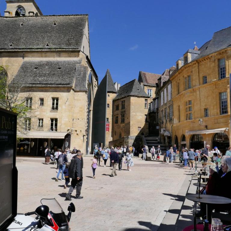 L'écrin de Sarlat - Villa - 60