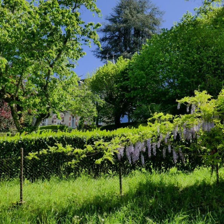 L'écrin de Sarlat - Villa - 57