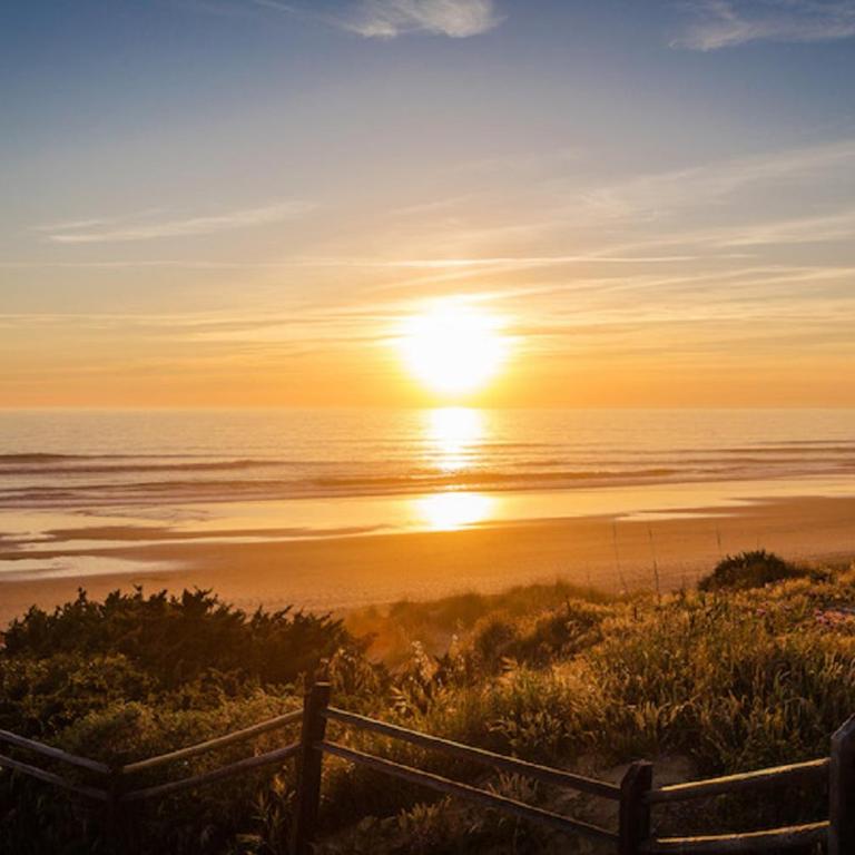Apartamento en la zona más tranquila del Novo Sancti Petri, mar, naturaleza, golf - Apartamento de 2 dormitorios - 41