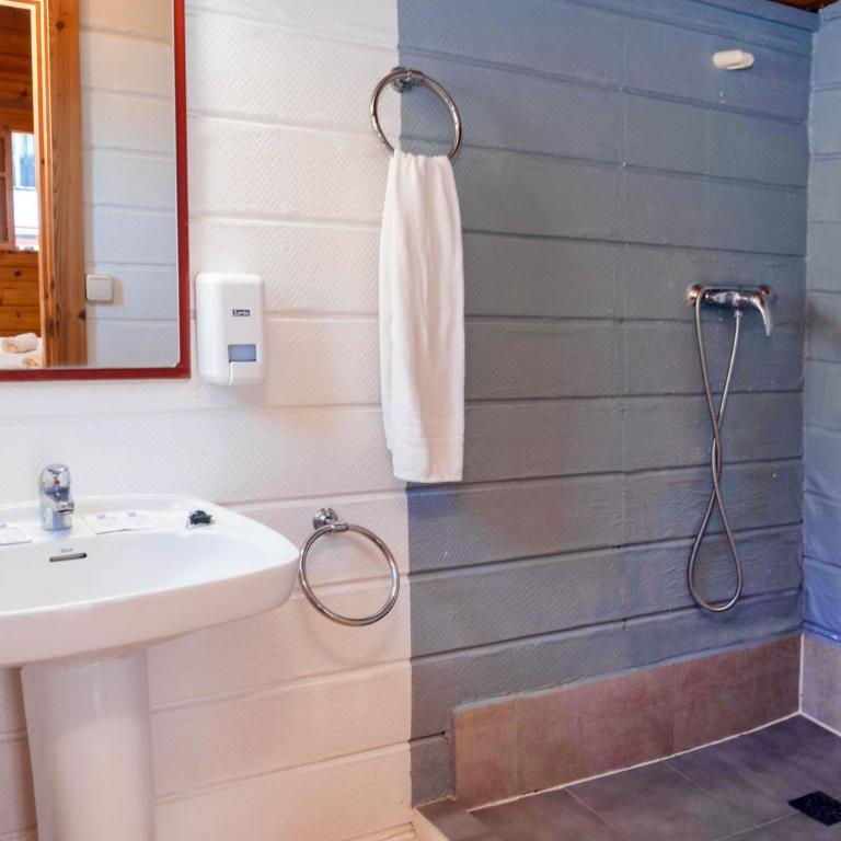 APARTAMENTOS PALASIET - Cabaña de madera - 51