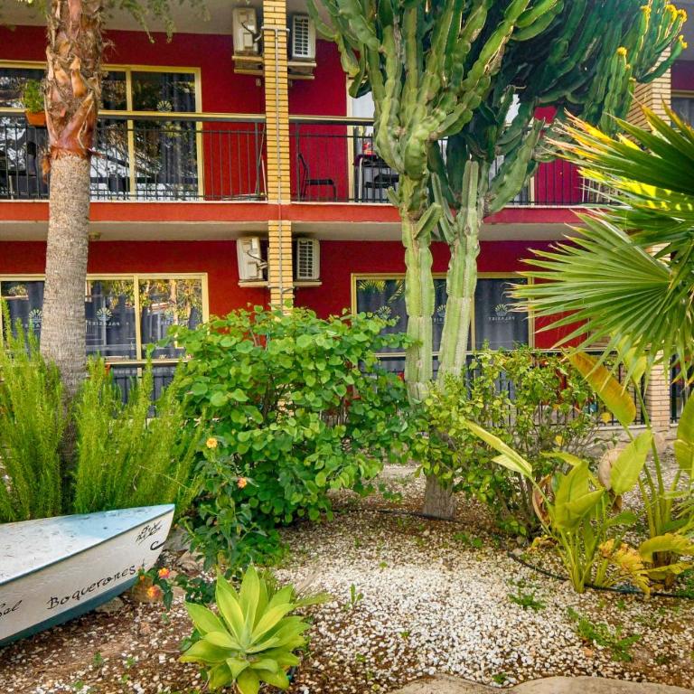 APARTAMENTOS PALASIET - Estudio - 23