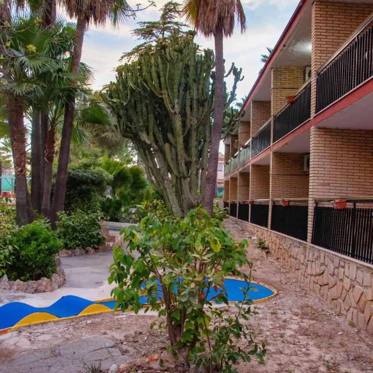APARTAMENTOS PALASIET - Estudio - 49
