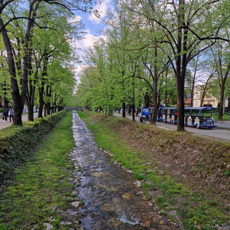 Apartman Bošković Vrnjačka Banja - Apartman sa 1 Spavaćom Sobom - 25