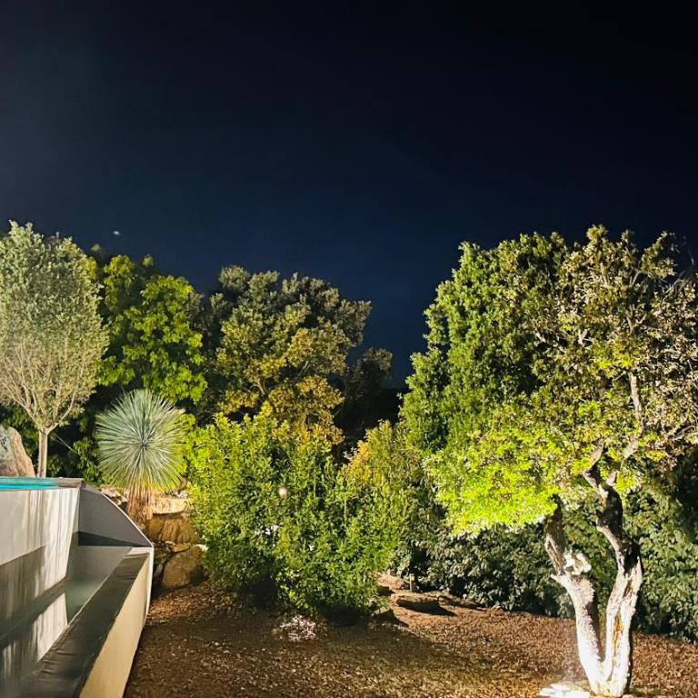 Villa Porto-vecchio 4 chambres avec piscine - Villa con piscina privada - 6