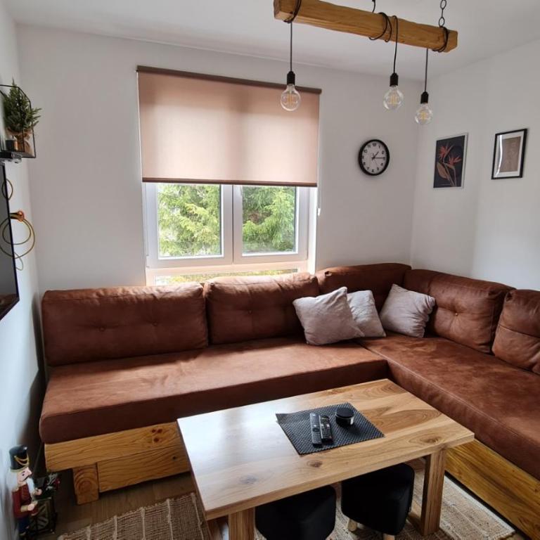Apartmani Šišarka Jahorina - Apartman sa 1 Spavaćom Sobom - 9