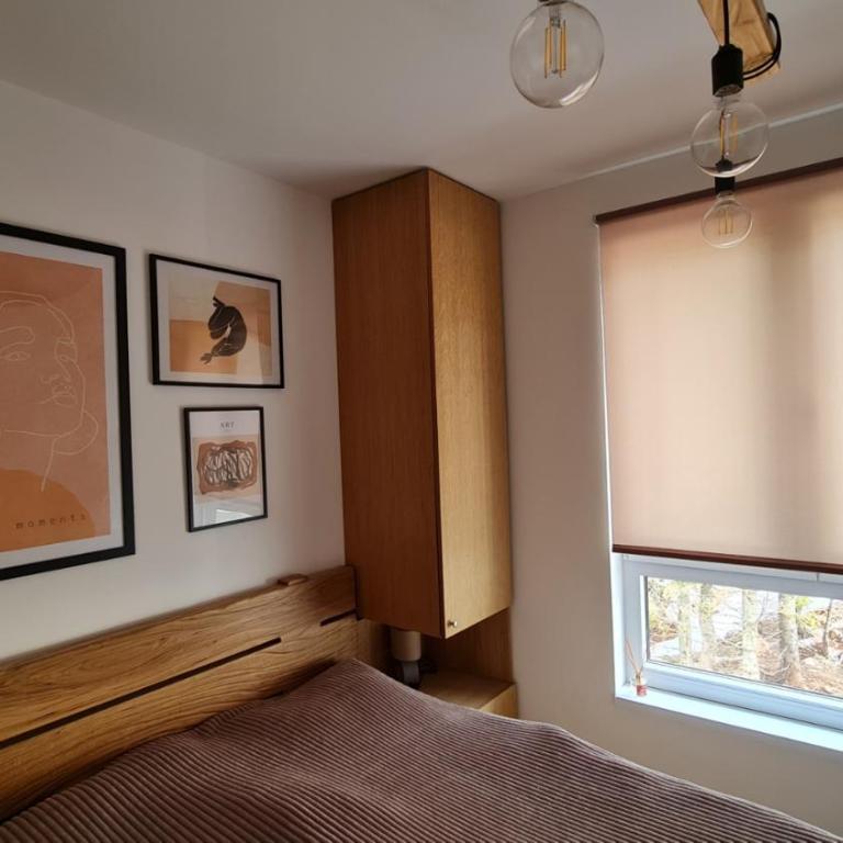 Apartmani Šišarka Jahorina - Apartman sa 1 Spavaćom Sobom - 10