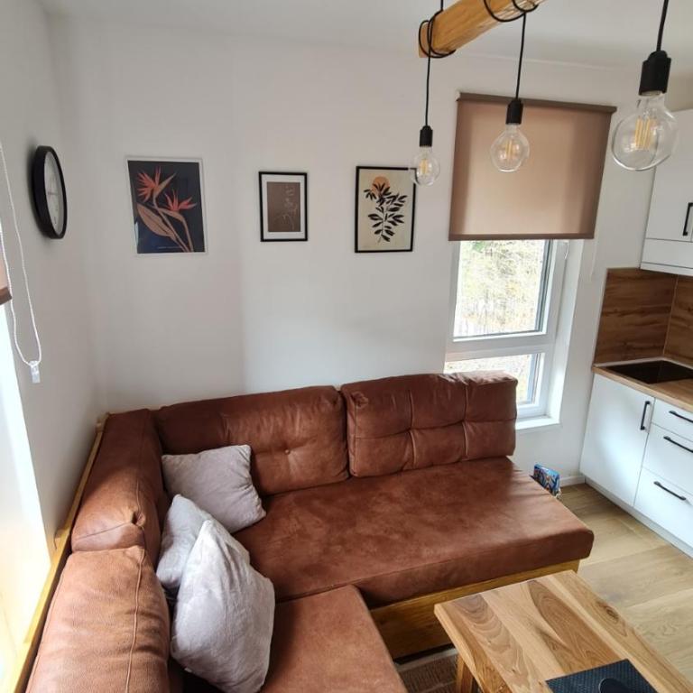 Apartmani Šišarka Jahorina - Apartman sa 1 Spavaćom Sobom - 11