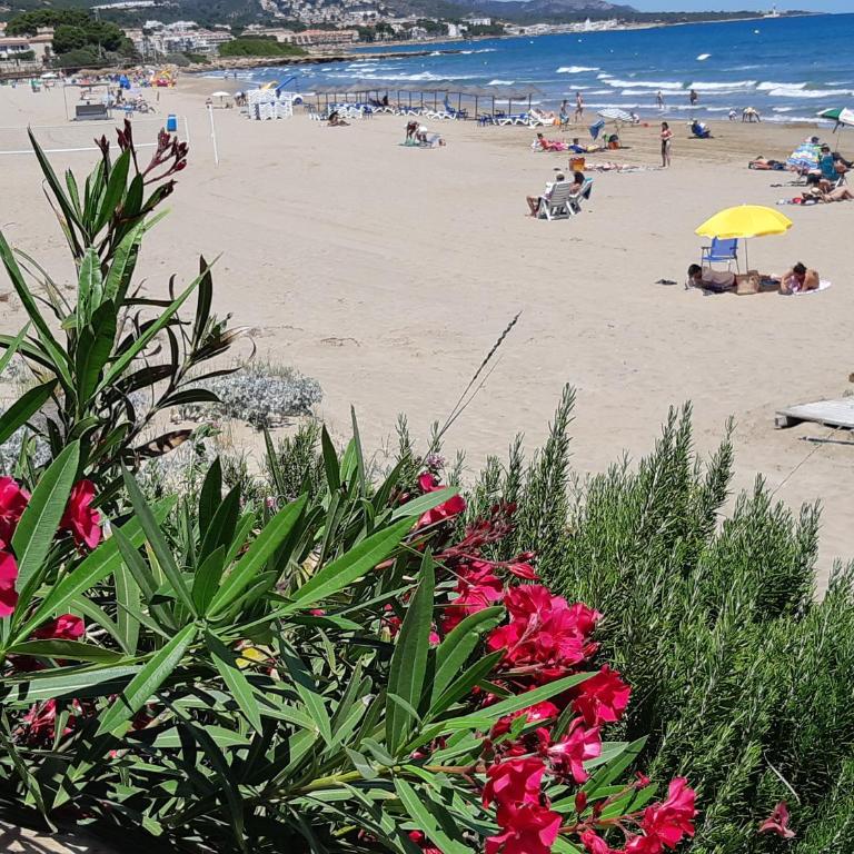 Ferienwohnung mit Privat-Pool - Apartamento de 2 dormitorios - 78