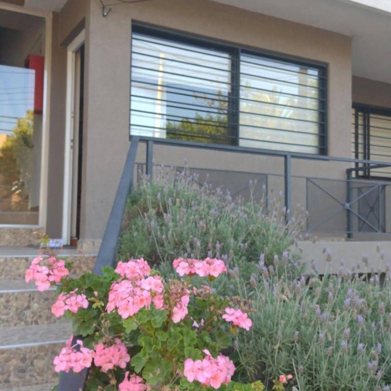 Dpto en alquiler temporario en VCPaz - Apartamento de 1 dormitorio - 24