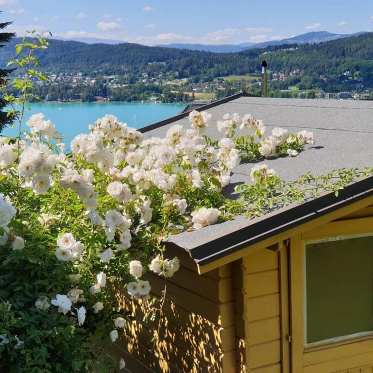 Haus Sonnenhang +Seeblick+Pool - Appartamento con 2 Camere da Letto - 45