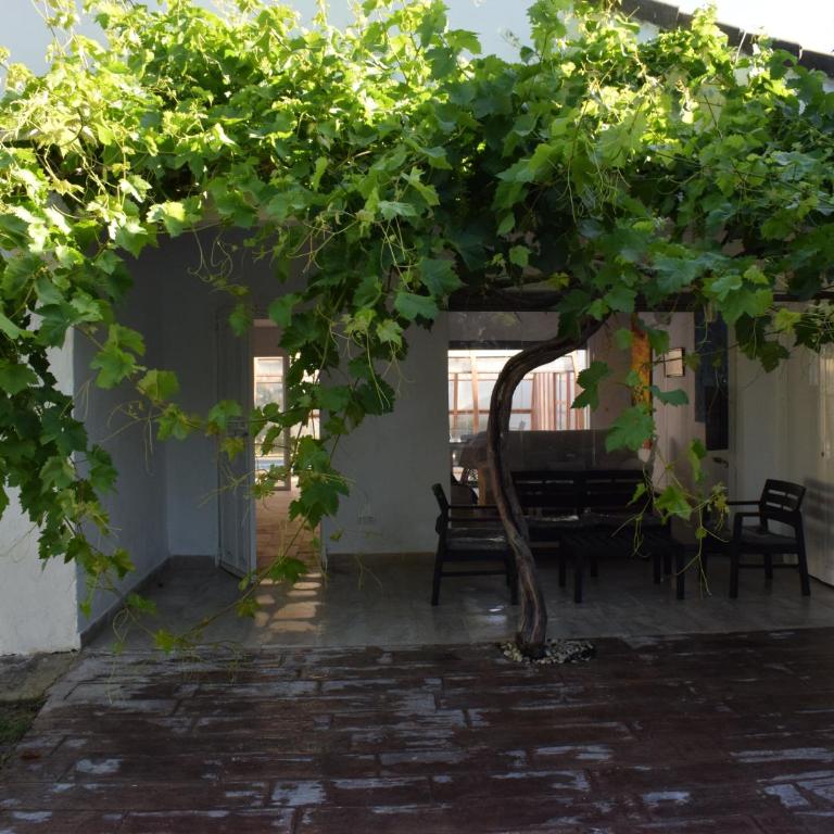 Sancti Petri House - Casa Unifamiliar de 3 dormitorios - 5