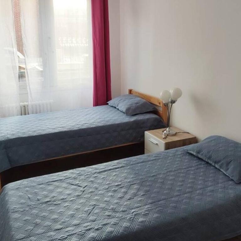 Appartement spacieux cosy en hypercentre proximité Cathédrale, Coliseum - Appartement 2 Chambres - 8