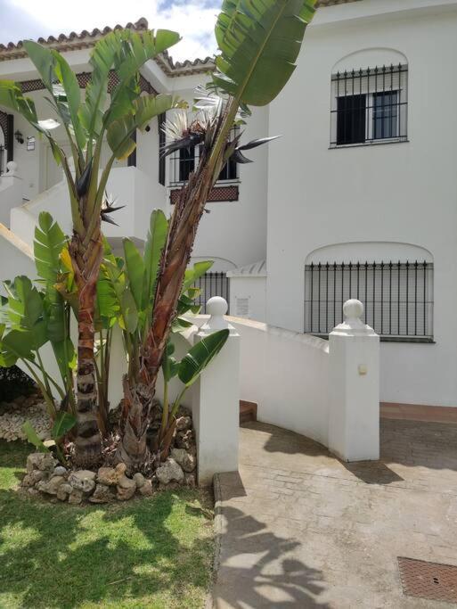 Nuevo!! Apartamento a 900 metros de la Playa. - Apartamento de 3 dormitorios - 14