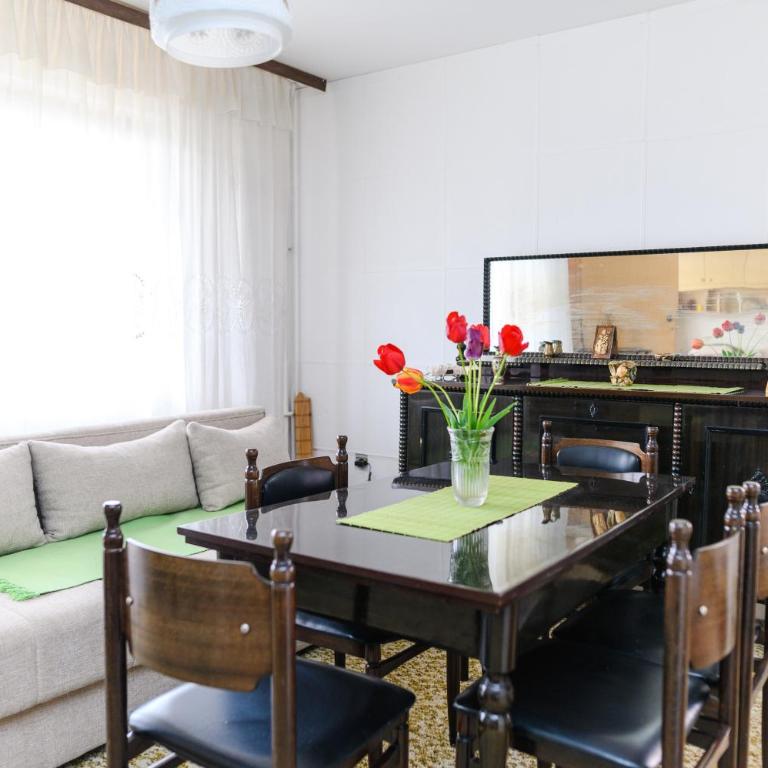 Vila Vojvođanka - Apartman sa 1 Spavaćom Sobom - 12