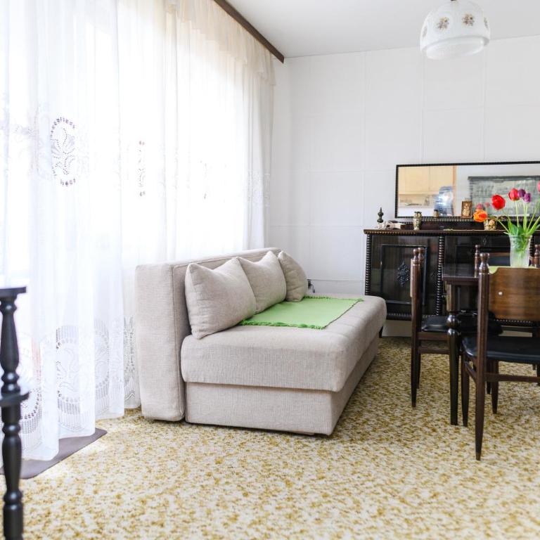 Vila Vojvođanka - Apartman sa 1 Spavaćom Sobom - 18