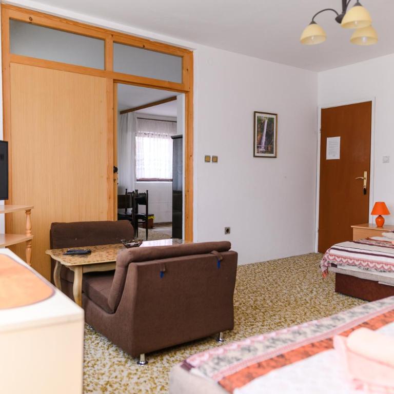 Vila Vojvođanka - Apartman sa 1 Spavaćom Sobom - 10