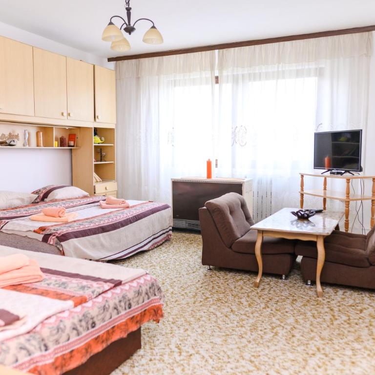 Vila Vojvođanka - Apartman sa 1 Spavaćom Sobom - 5