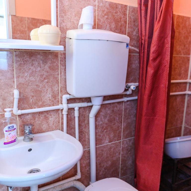 Vila Vojvođanka - Apartman sa 1 Spavaćom Sobom - 23