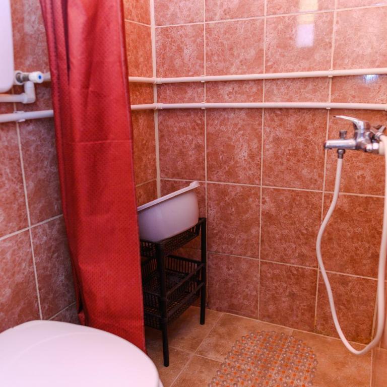 Vila Vojvođanka - Apartman sa 1 Spavaćom Sobom - 24