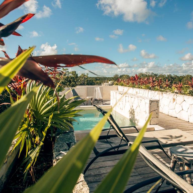 Vida Jungle Apart 1 with special fee to access Hotel Bardo - Apartamento de 1 dormitorio - 28