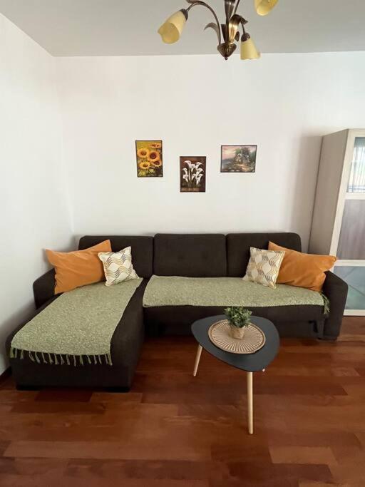 Cozy Montenegro Experience, 50m from the beach - One-Bedroom Apartment - 21