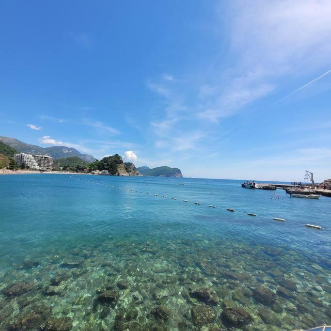 Cozy Montenegro Experience, 50m from the beach - One-Bedroom Apartment - 24