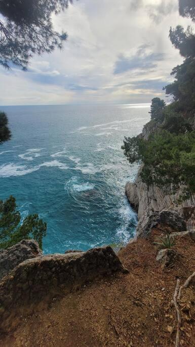 Cozy Montenegro Experience, 50m from the beach - One-Bedroom Apartment - 25