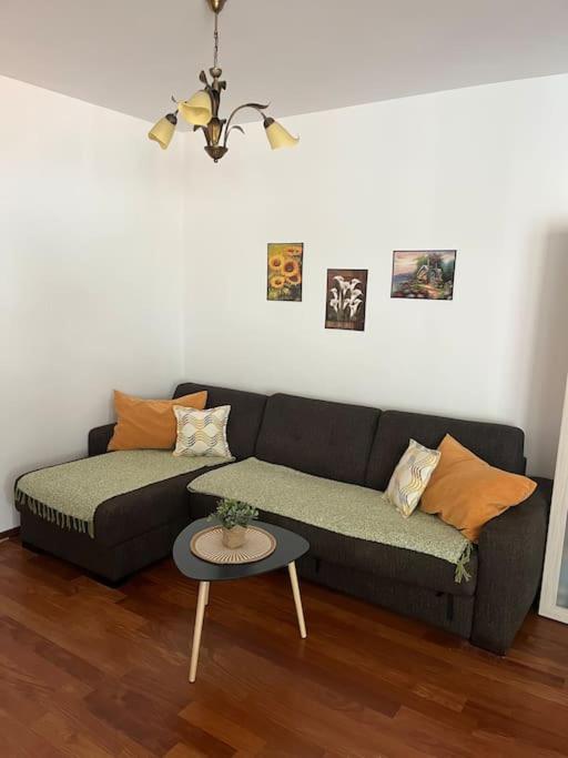 Cozy Montenegro Experience, 50m from the beach - One-Bedroom Apartment - 27