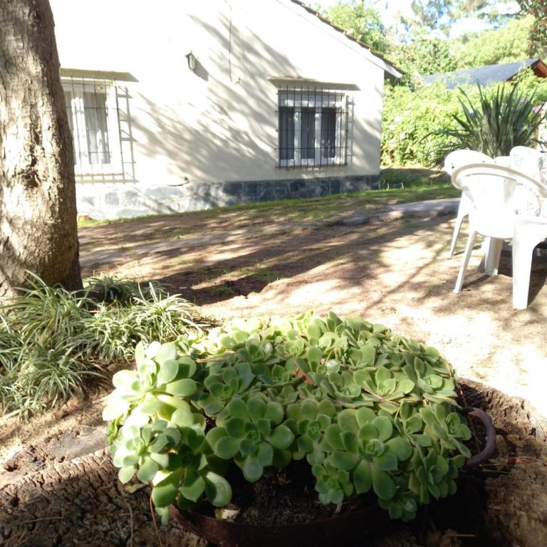 Nuestro Lugar - Casa de 4 dormitorios - 44