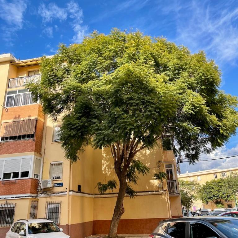 Apartment Plaza Colmenillas - Apartamento de 2 dormitorios - 25