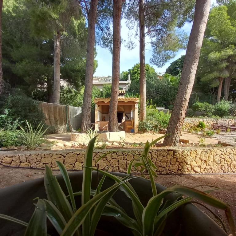 Villa Alemania - Villa con piscina privada - 49