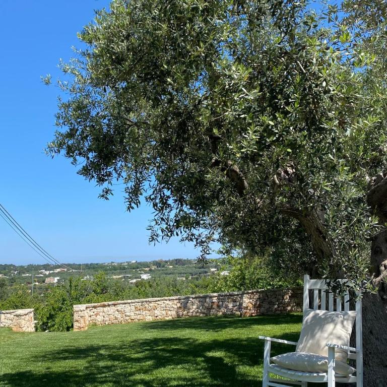 Trulli sull'Aia San Michele - Camera Matrimoniale con Vista Giardino - 1