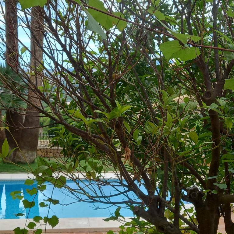 Villa Alemania - Villa con piscina privada - 54