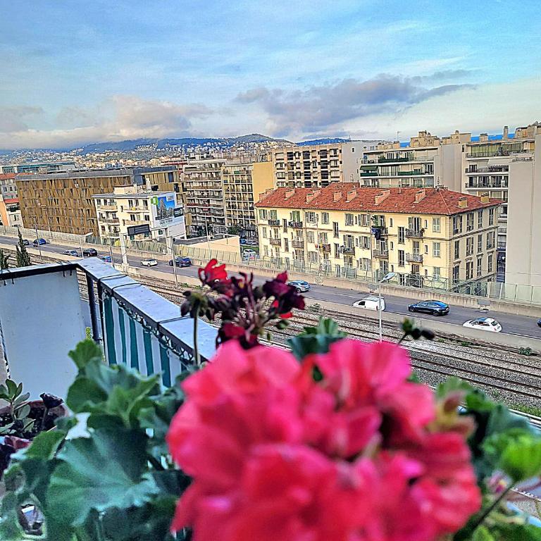 NissaLaBella - Appartement 1 Chambre - 31