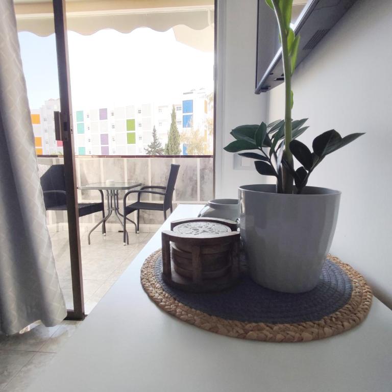 Vivienda Agaete Parque - Apartamento de 2 dormitorios - 18