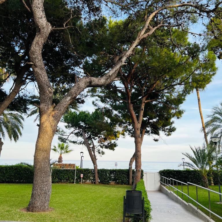 Apartamento Deluxe Torremar - Apartamento de 3 dormitorios - 30