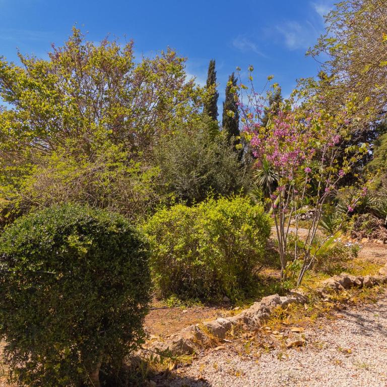 Finca Mal Ric - Casa de 4 dormitorios - 40