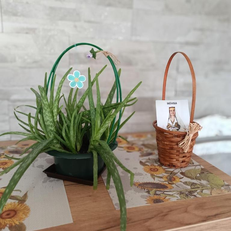 Cozy, Nice & Quiet apartment Lucky Sarajevo - Free public parking - Standardni Apartman - 12