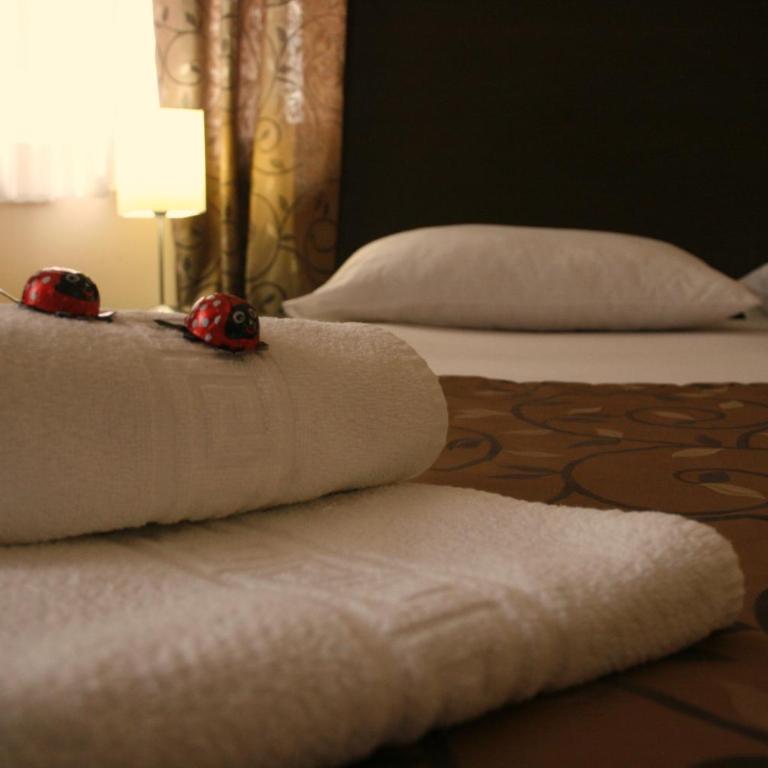 Hotel Divan - Standardna Dvokrevetna Soba sa Bračnim Krevetom/Zasebnim Krevetima - 10